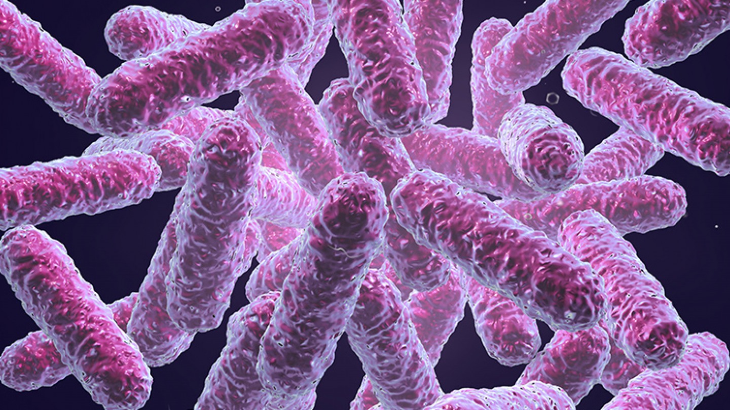  Diet impacts the sensitivity of gut microbiome to antibiotics study 