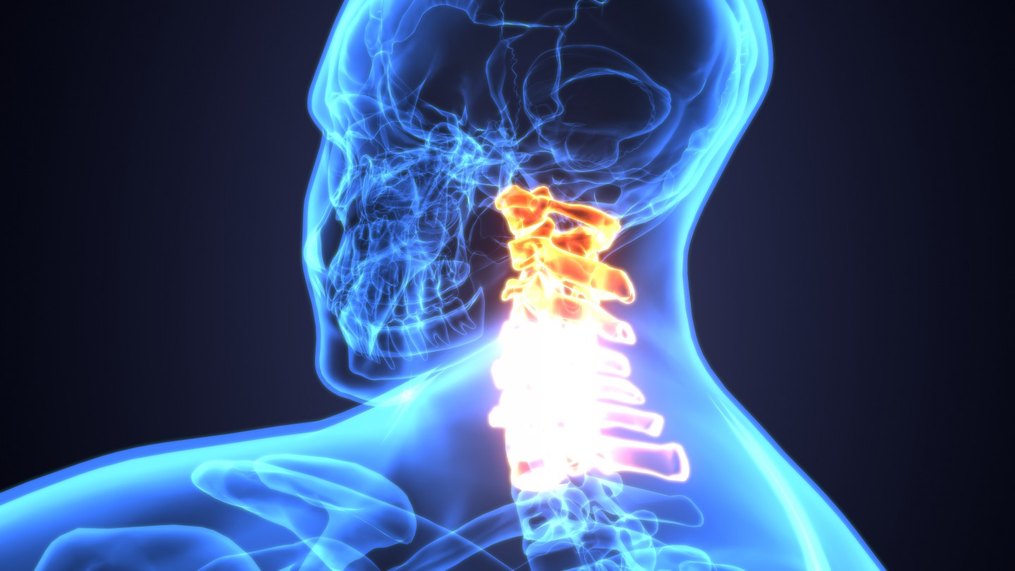 Researchers To Develop Intelligent Spinal Interface With 6 3 Million In Darpa Funding Brown University