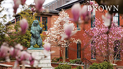 238707_COVD_Zoom_spring_2.jpg