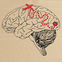 Neural Data