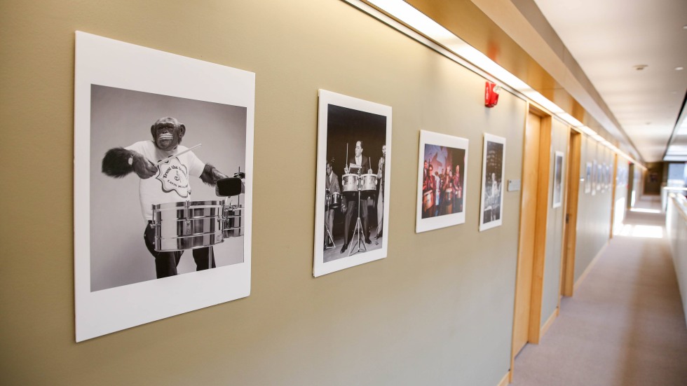 Photos mounted on the wall inside a building