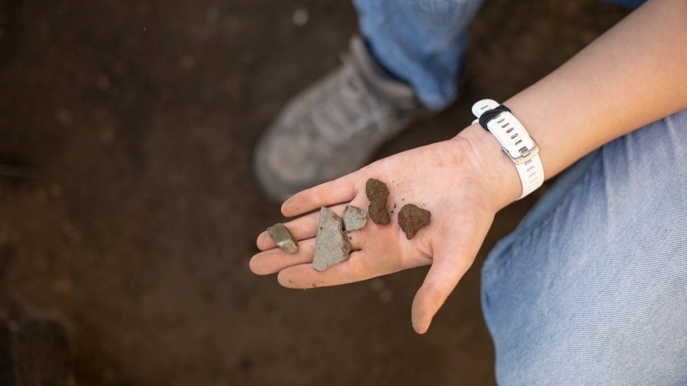 someone holds items pulled from the dirt