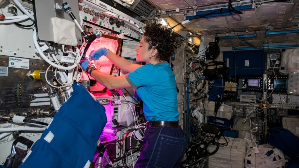 Jessica Meir in the International Space Station